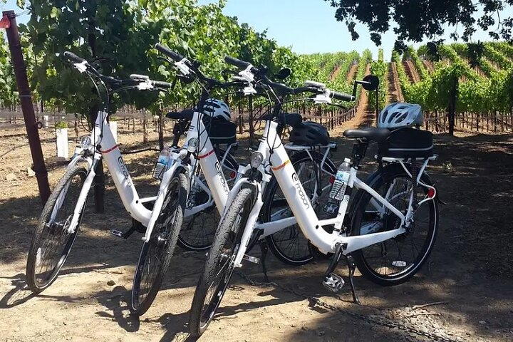 Experience E-Bike with Wine Tasting Activity - Photo 1 of 6
